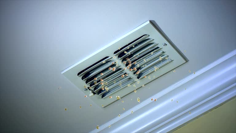 Best Local Air Duct Cleaning Services  in Mar Mac, NC